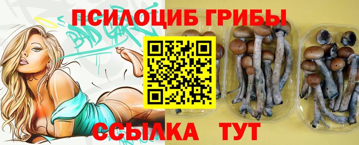 Галлюциногенные грибы мицелий  Галлюциногенные грибы прущие грибы  Вход с VPN  Волжский 