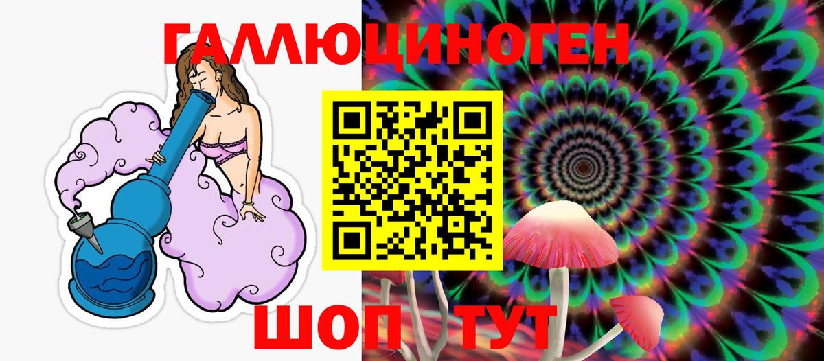 Галлюциногенные грибы Psilocybe Волжский